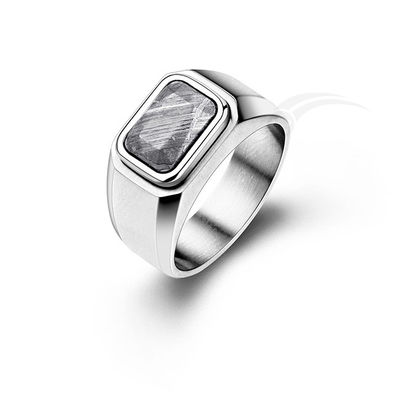 IJzer / nikkel meteoriet sieraden ringen met op maat gegraveerde 10 * 7 gevels Cabochon