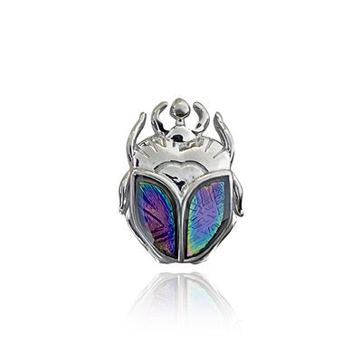 Mesmerische Kever Meteoriet Juwelen Hanger In 925 Sterling Zilver Kosmische Charme Hanger
