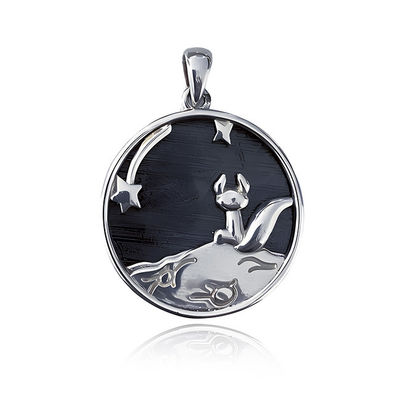 De kleine prins ijzeren meteoriet 925 Sterling zilveren hanger 20 mm rond